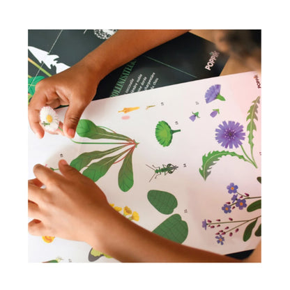 Poppik Sticker Lernposter Botanik