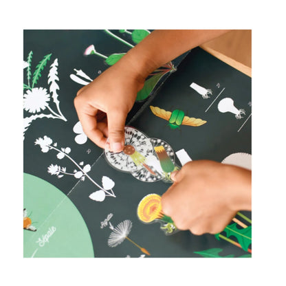 Poppik Sticker Lernposter Botanik