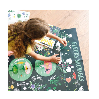 Poppik Sticker Lernposter Botanik