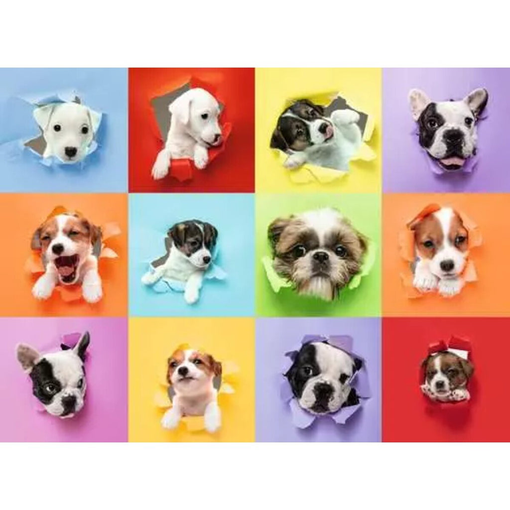 ravensburger-12004267-kinderpuzzle-300-xxl-7AA3D1572.jpg
