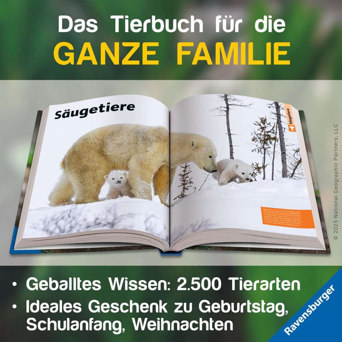 ravensburger-48095-national-geographic-kids-2593B0DA3.jpg