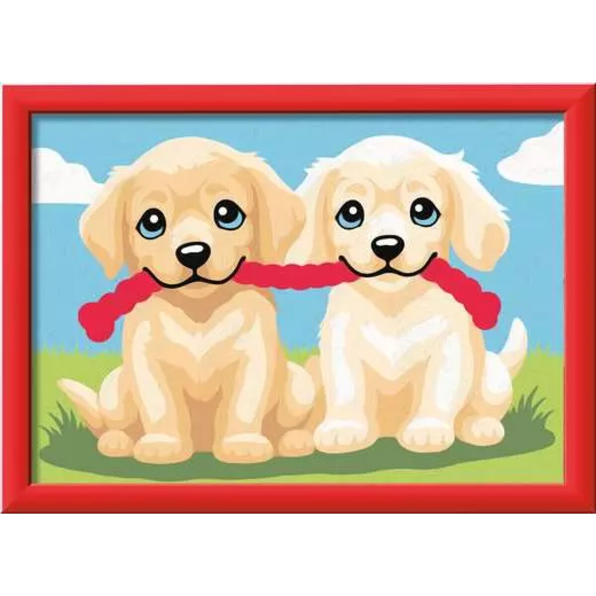 ravensburger-creart-malen-nach-zahlen-587CDAF42.jpg