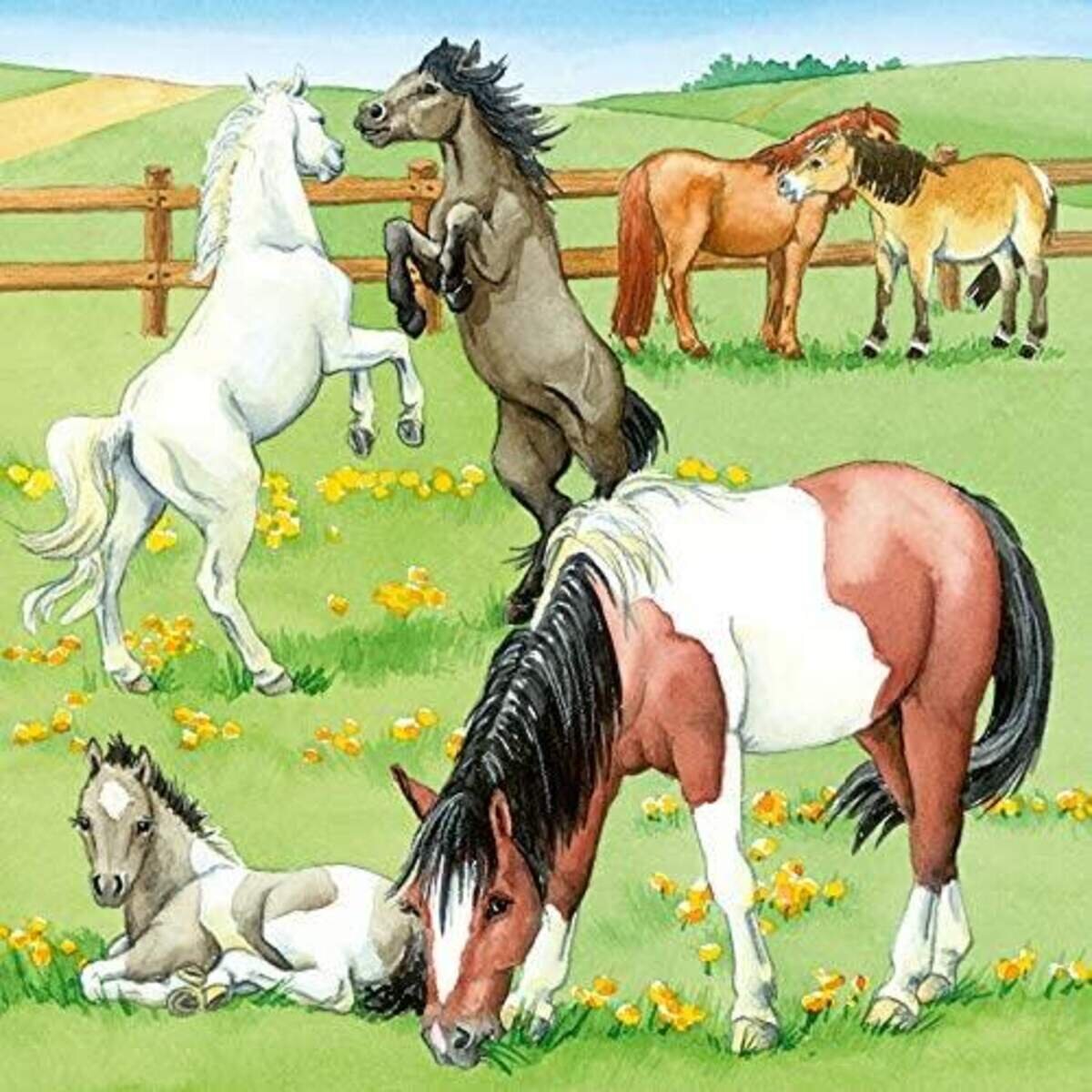 ravensburger-ein-tag-auf-dem-589B1FCC3.jpg