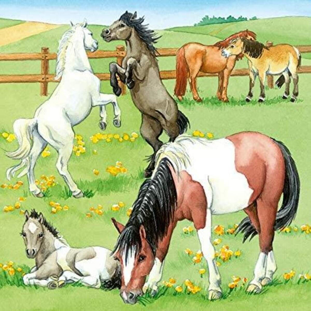 ravensburger-ein-tag-auf-dem-589B1FCC3.jpg