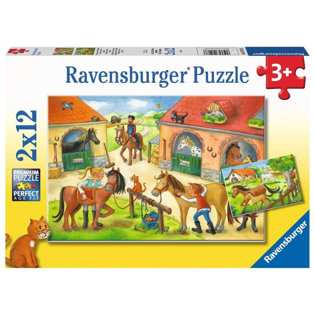 ravensburger-ferien-auf-dem-reiterhof-C1FE8F071.jpg