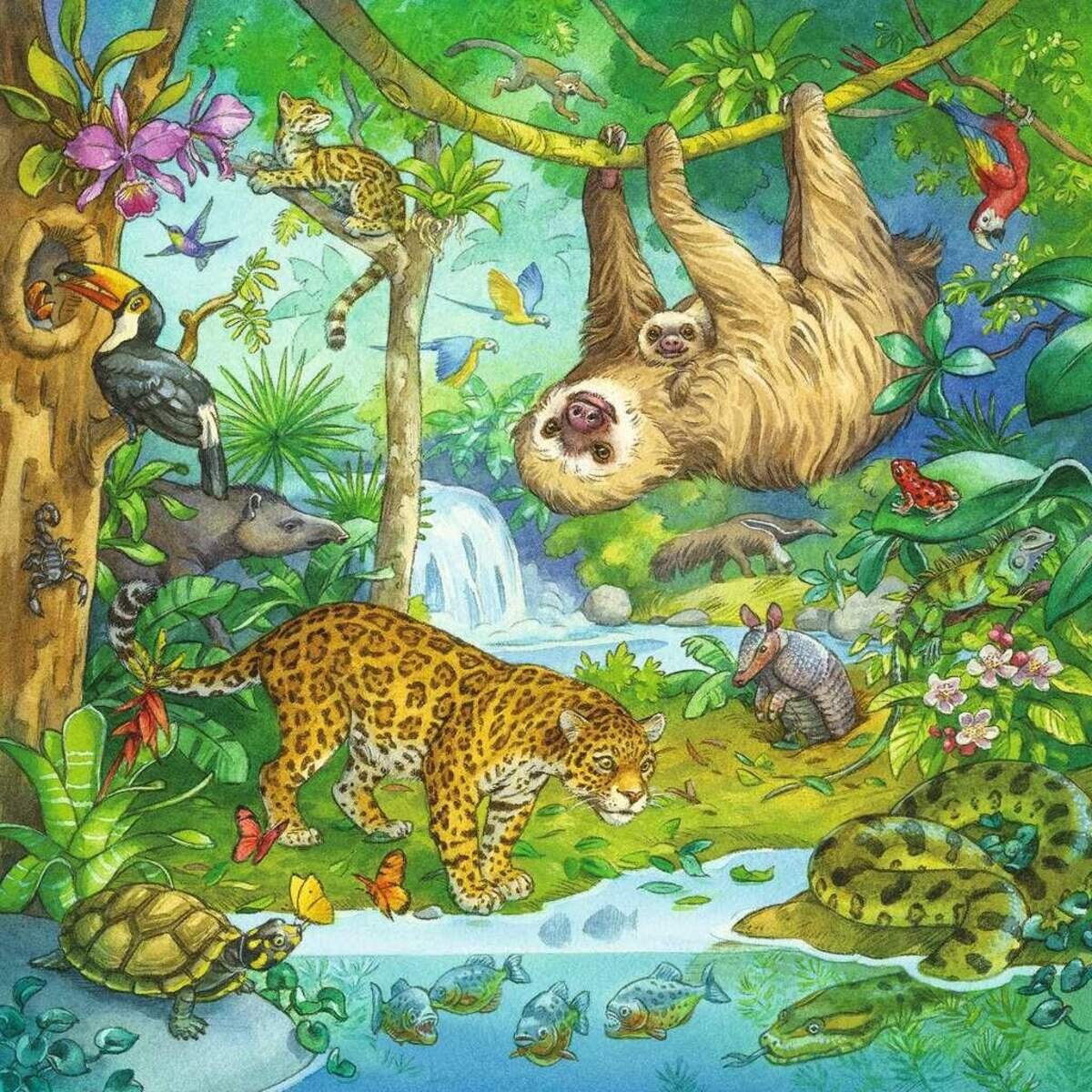 ravensburger-kinderpuzzle-05180---0F6C10522.jpg
