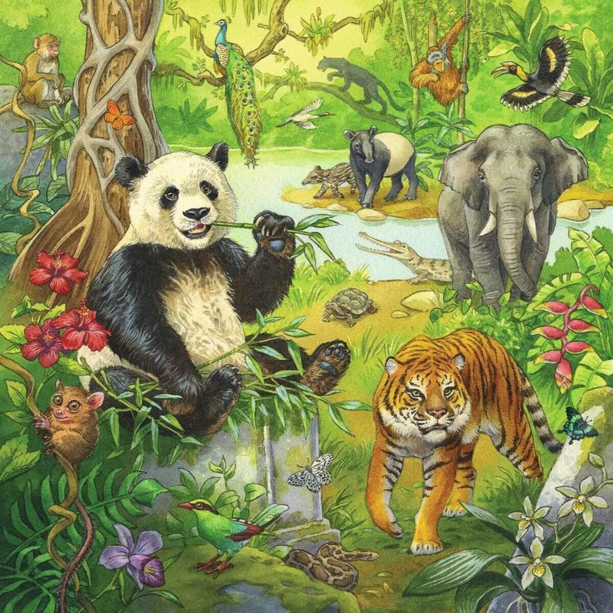 ravensburger-kinderpuzzle-05180---0F6C10523.jpg