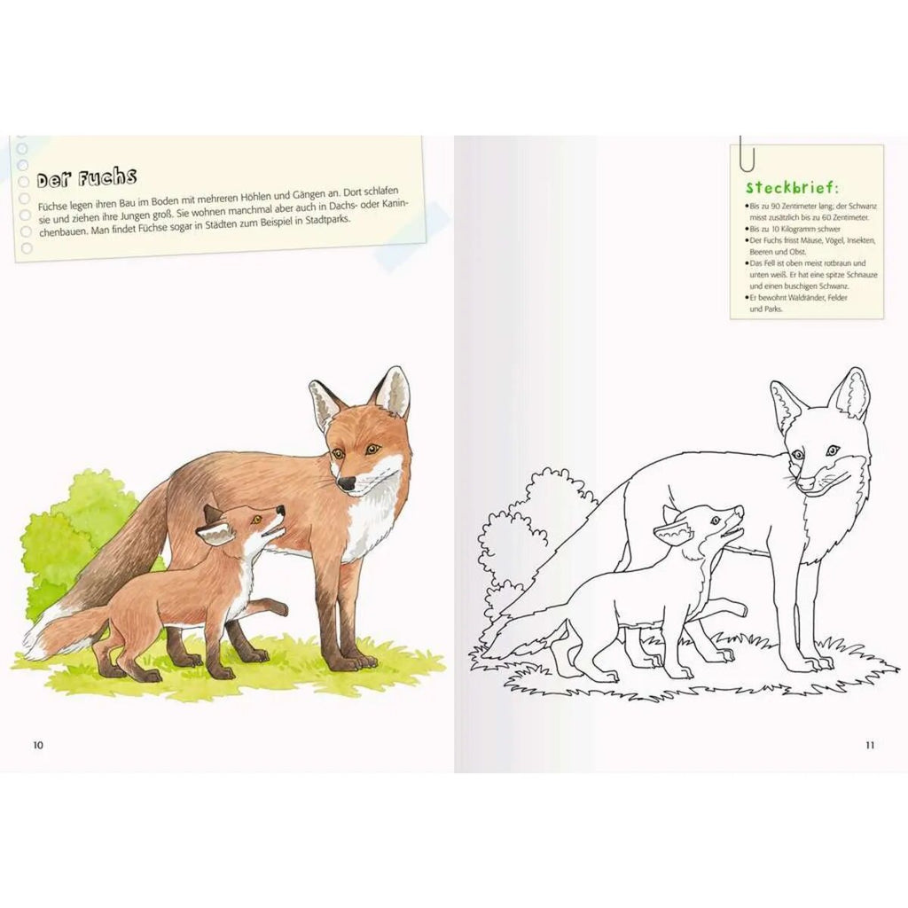 ravensburger-mein-grosses-natur-malbuch-2AC076A13.jpg