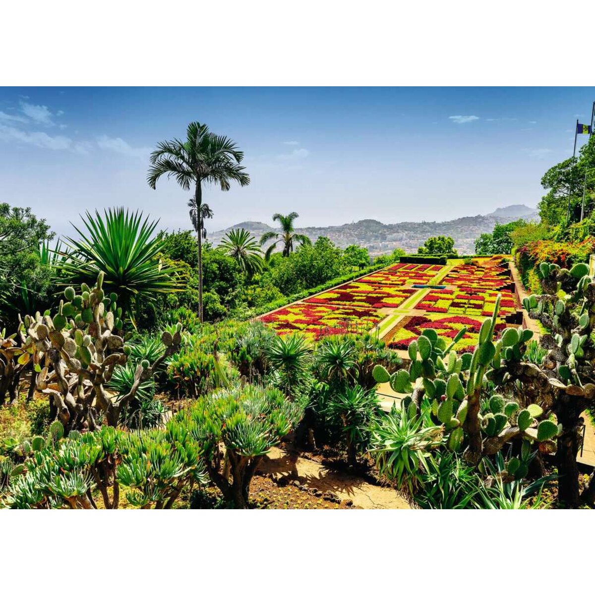 Ravensburger Puzzle - Beautiful Garens: Botanical Garden, Madeira, 1000 Teile