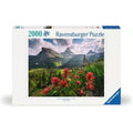 ravensburger-puzzle-2000-teile-cumulus-C64FE3BB1.jpg