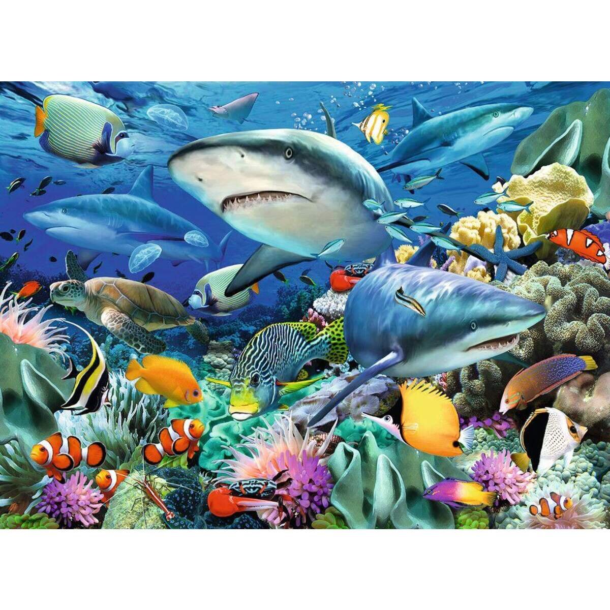 ravensburger-puzzle-xxl-riff-der-2D5B3E5A2.jpg