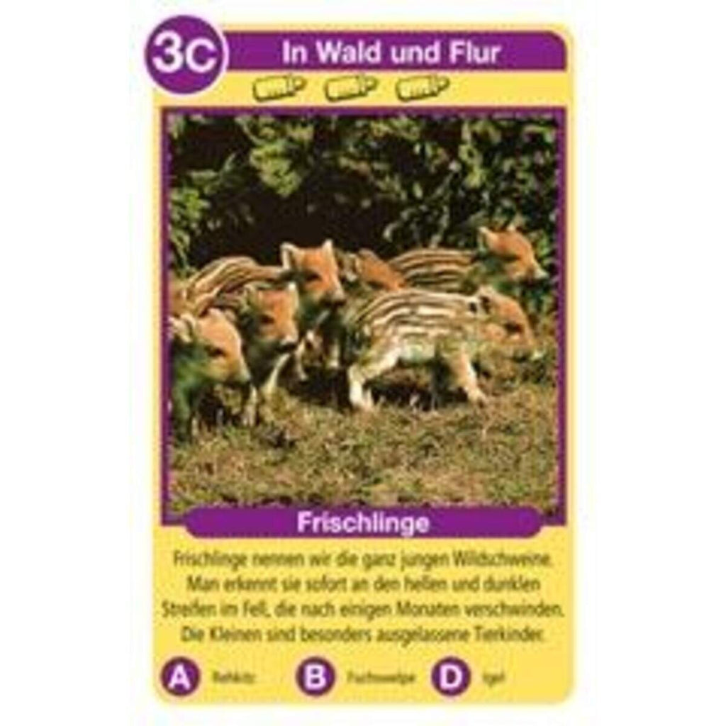 ravensburger-tierkinder-quartett-1F9241FA3.jpg