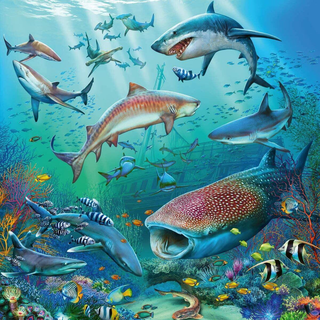 ravensburger-tierwelt-des-ozeans-3-C73E779D3.jpg