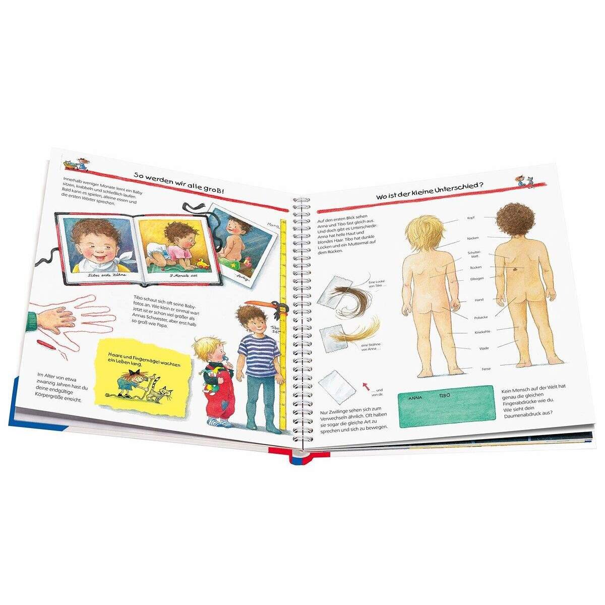 ravensburger-wieso-weshalb-warum-band-51985E582.jpg