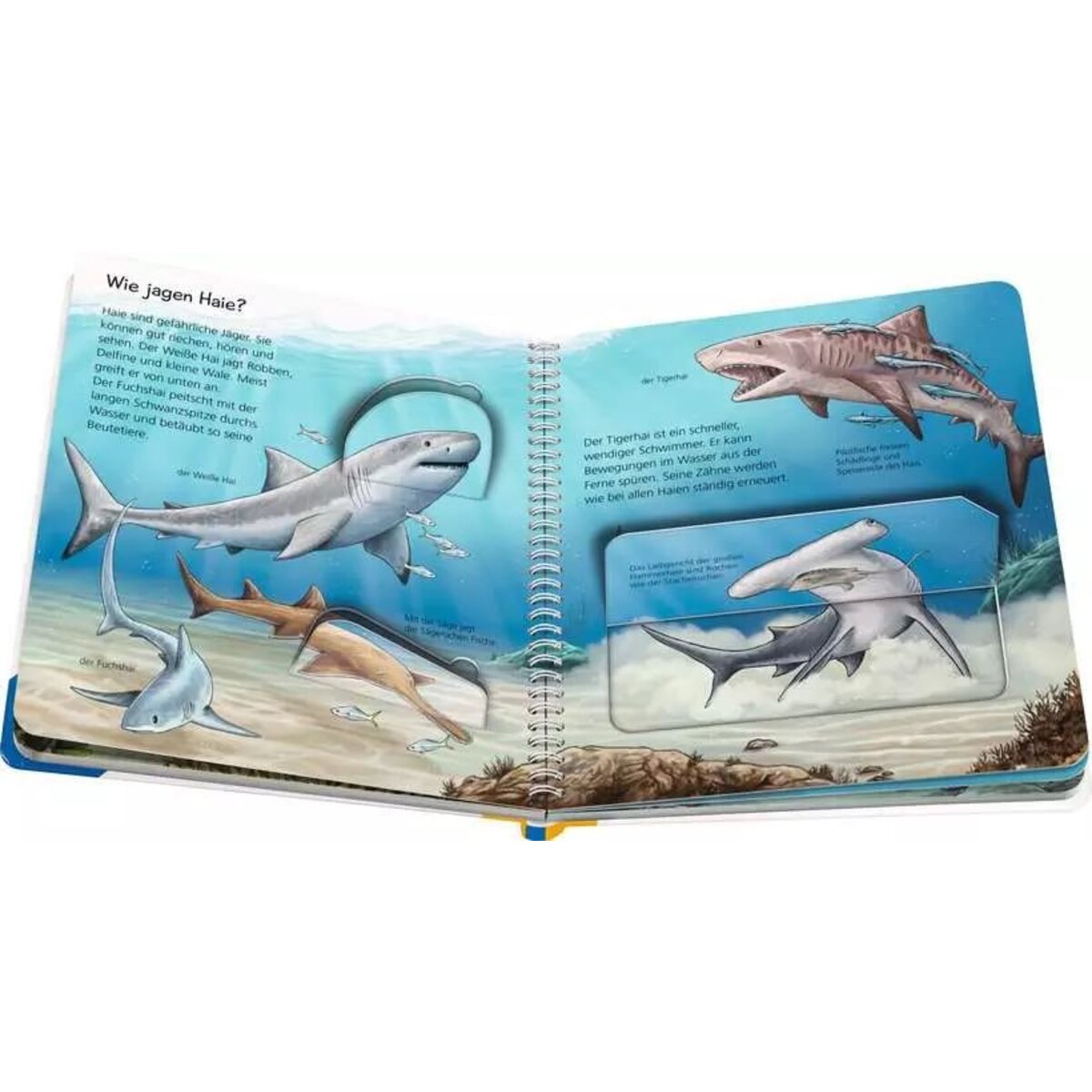 ravensburger-wieso-weshalb-warum-junior-5DAD2CC23.jpg