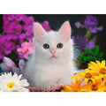 ravensburger-xxl-puzzle---88F4904A1.jpg