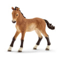schleich-13804-horse-club-tennessee-673374D81.jpg