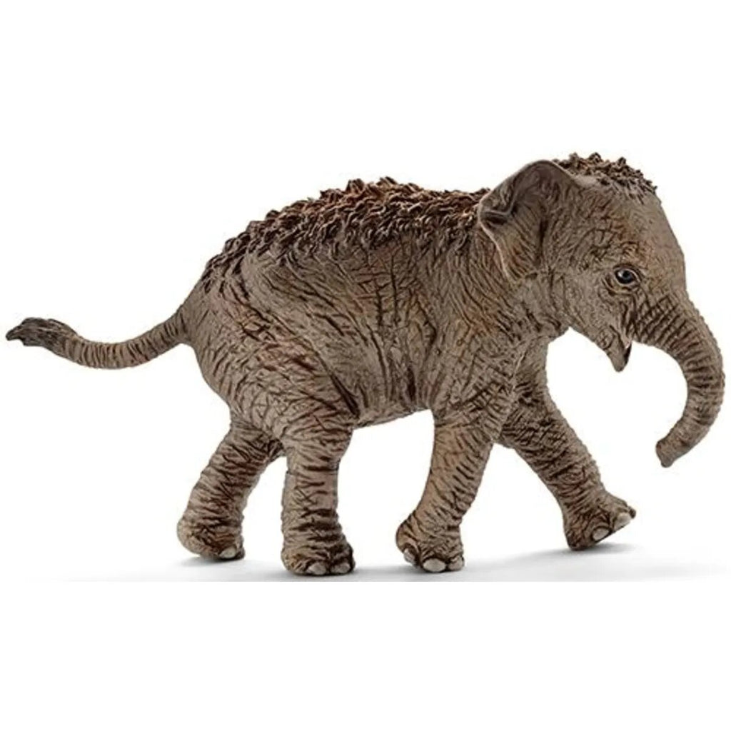 schleich-14755-asiatisches-elefantenbaby-D84F1CB12.jpg
