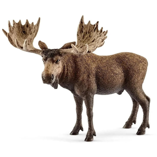 Schleich® 14781 Wild Life - Elch Bulle
