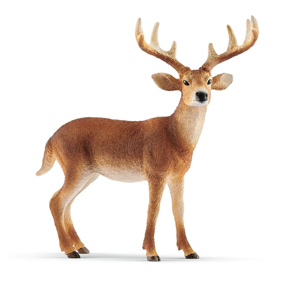 schleich-14818-weisswedelhirsch-8A29FBAE1.jpg