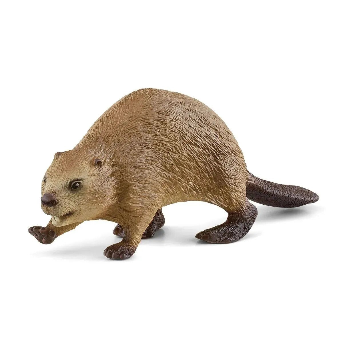 schleich-14855-wild-life--44489EAC1.jpg