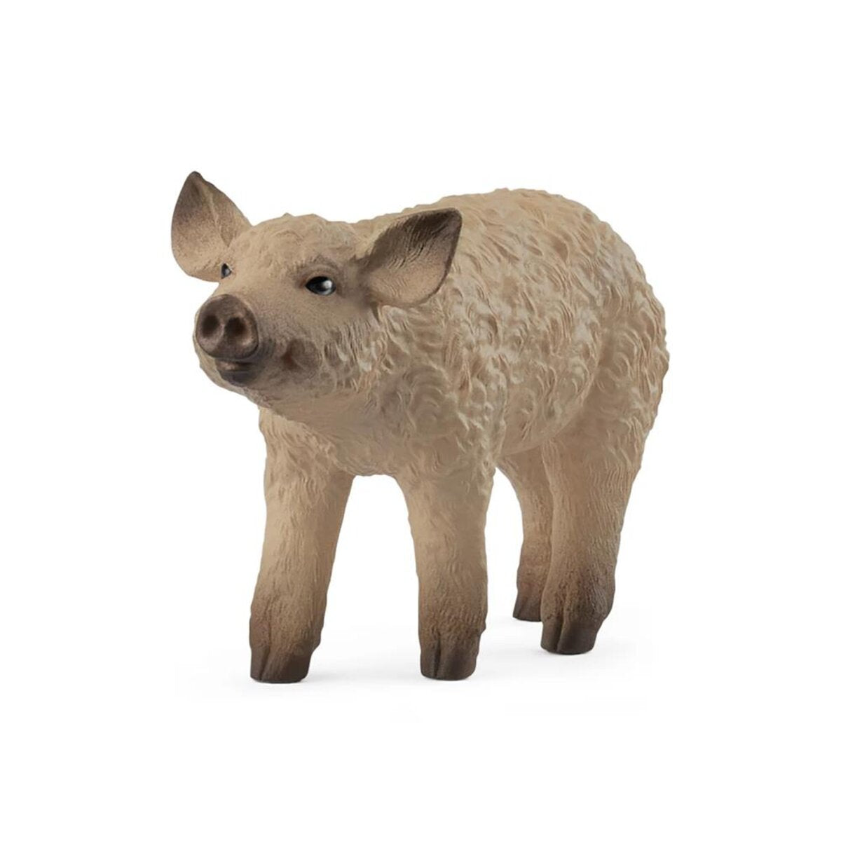 schleich-14893-wollschwein-ferkel-C5D07D161.jpg