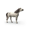 schleich-14916-knabstrupper-wallach-D93E80C91.jpg
