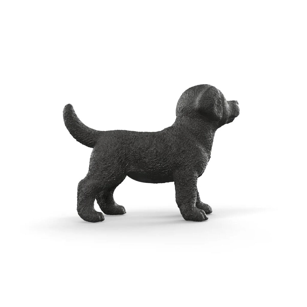schleich-14922-schwarzer-labrador-retriever-B3F0DC374.jpg