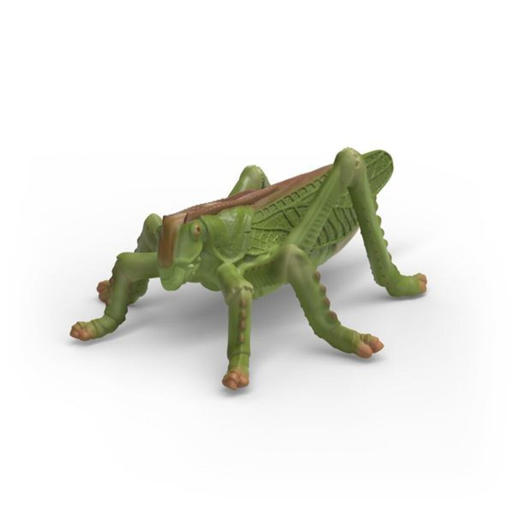 schleich-42741-wild-life-insekten-93E468323.jpg