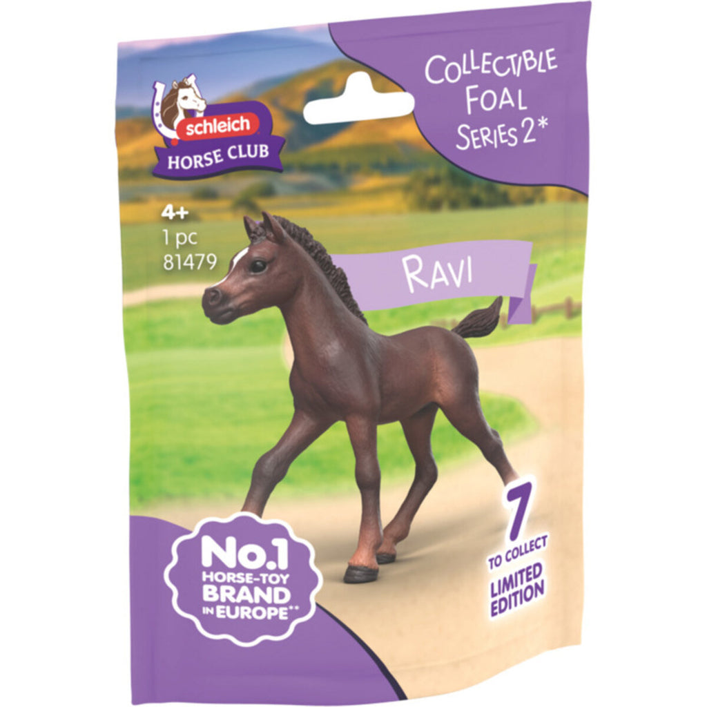 schleich-81479-sammelfohlen-ravi-F3F1817E2.jpg