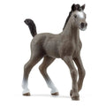 schleich-cheval-de-selle-francais-45DF8B171.jpg