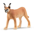 schleich-karakal-weibchen-6cm-BAAAA3311.jpg