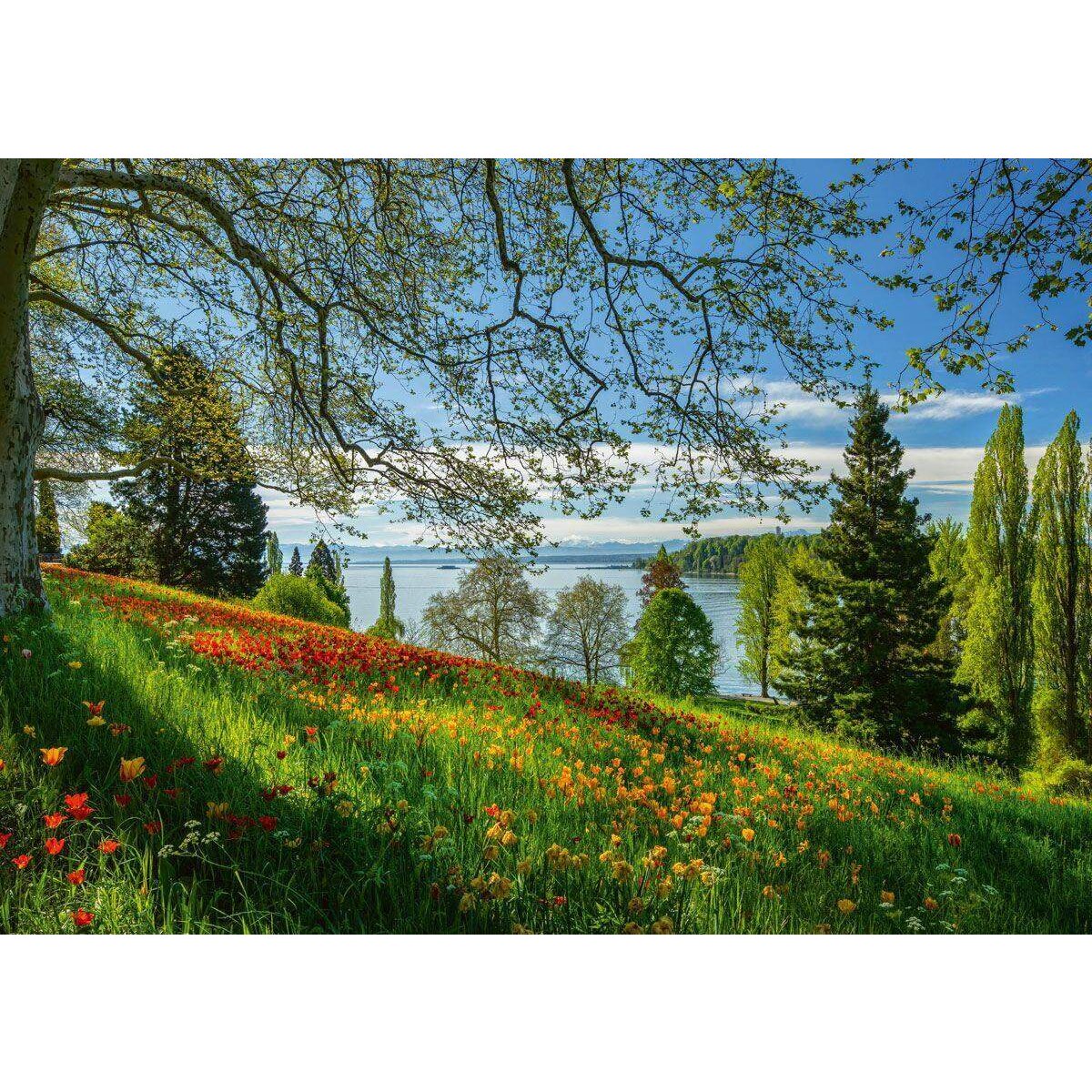 schmidt-spiele-puzzle-fruehlingsallee-zur-97B2FCBC2.jpg