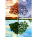 schmidt-spiele-puzzle-jahreszeiten-baum-E457A8B41.jpg