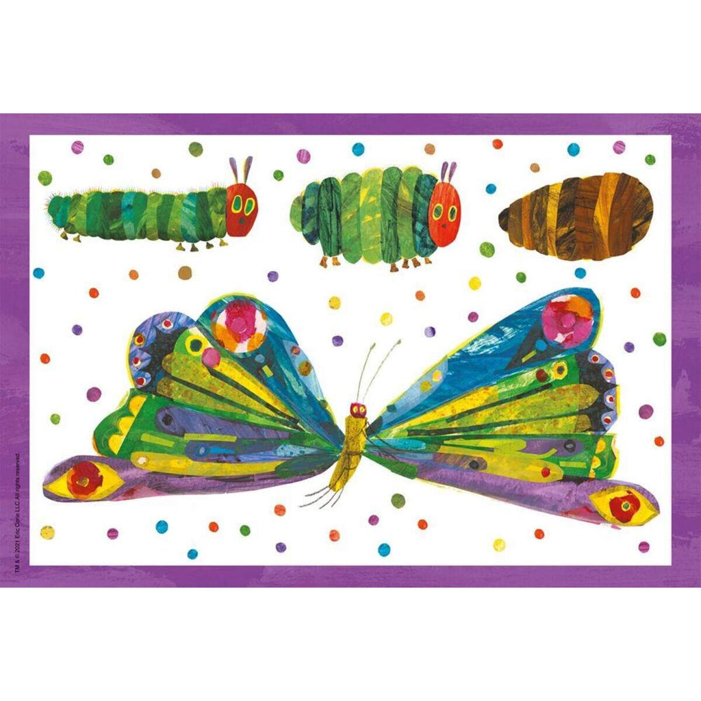 schmidt-spiele-raupe-kokon-schmetterling-A9FB8EF13.jpg