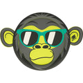 sunflex-wurfscheibe-fyling-monkey-1959CC6B1.jpg