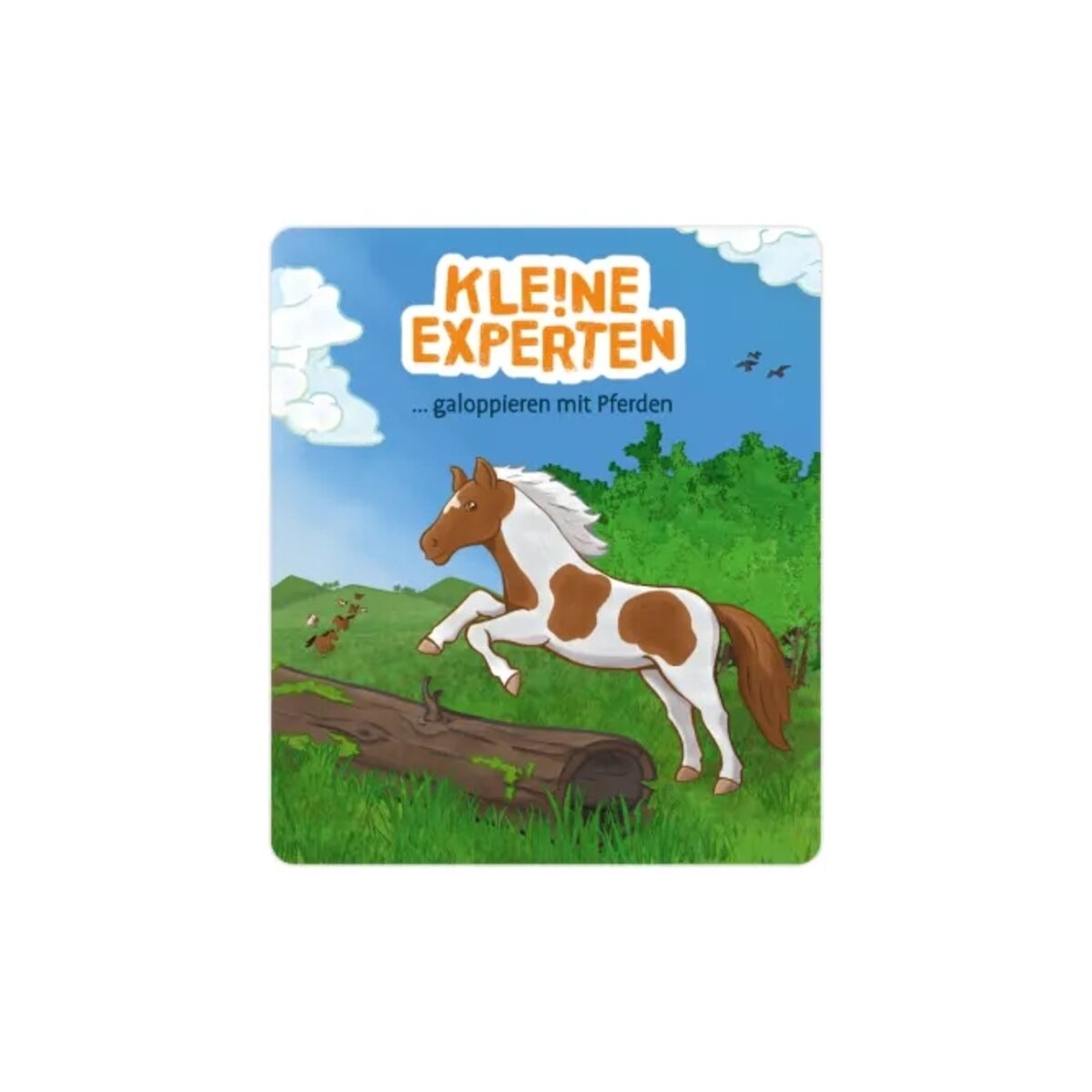 tonies-hoerfigur---klene-232A992C3.jpg