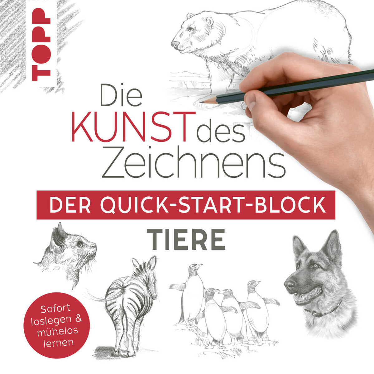 topp-die-kunst-des-zeichnens-99CE00DE1.jpg