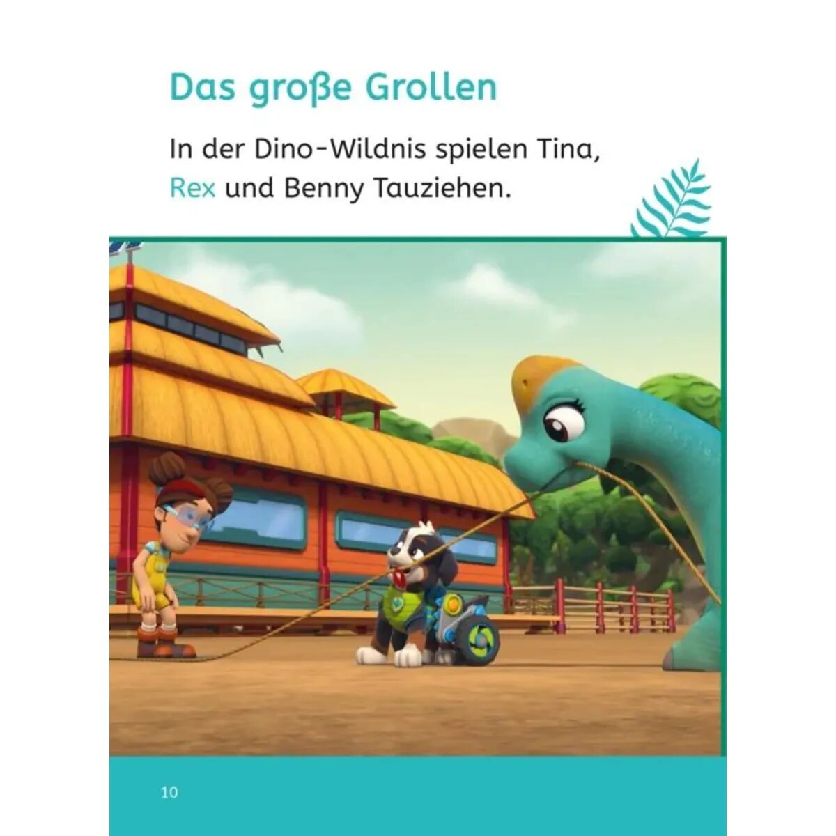 Carlsen Verlag Die Fellfreunde auf Dino-Mission!