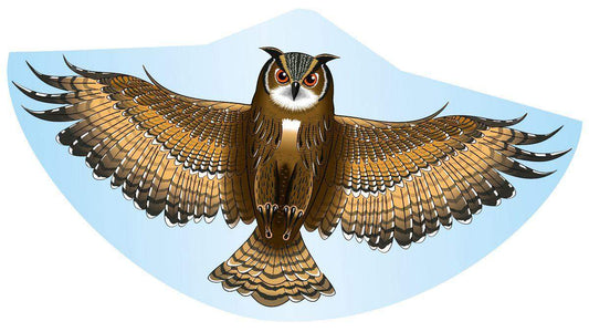 Günther Einleinerdrachen 122x68cm Eule, PE Folie
