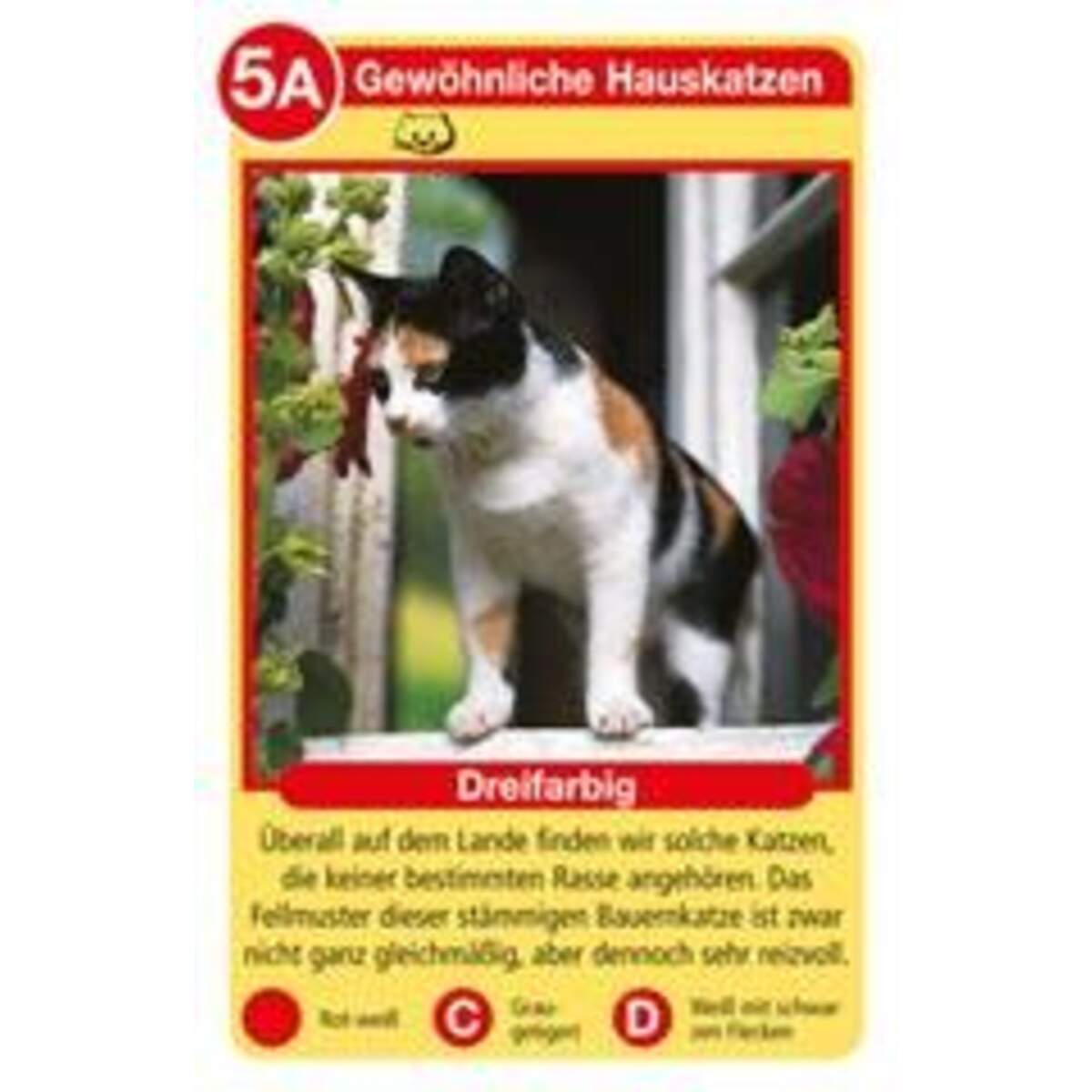 Ravensburger Katzen Tier-Quartett